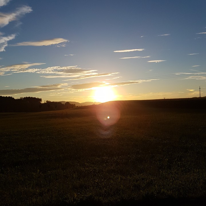 sunset
