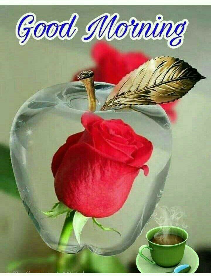 Good Evning