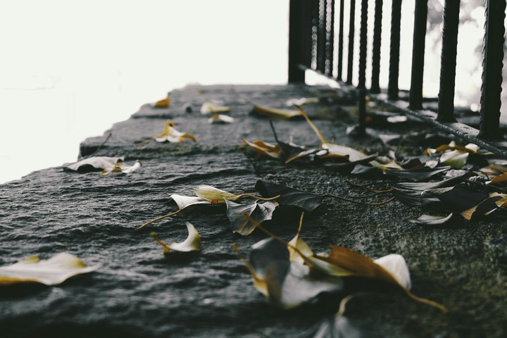 Autumn ??