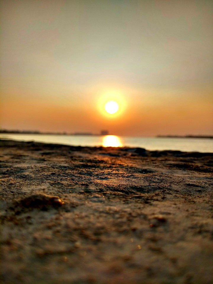 the sunset