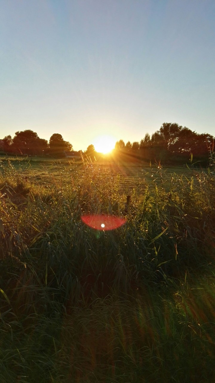 sunnetje