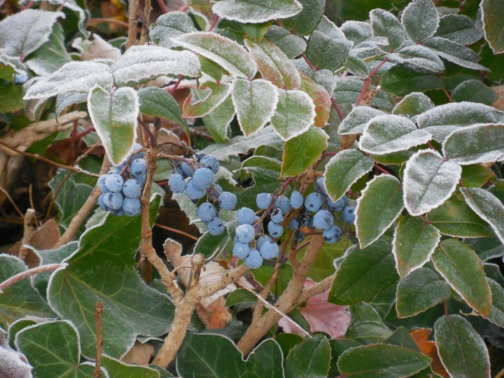 winter