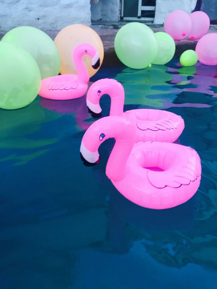 aqua flamingo