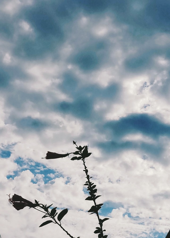 sky