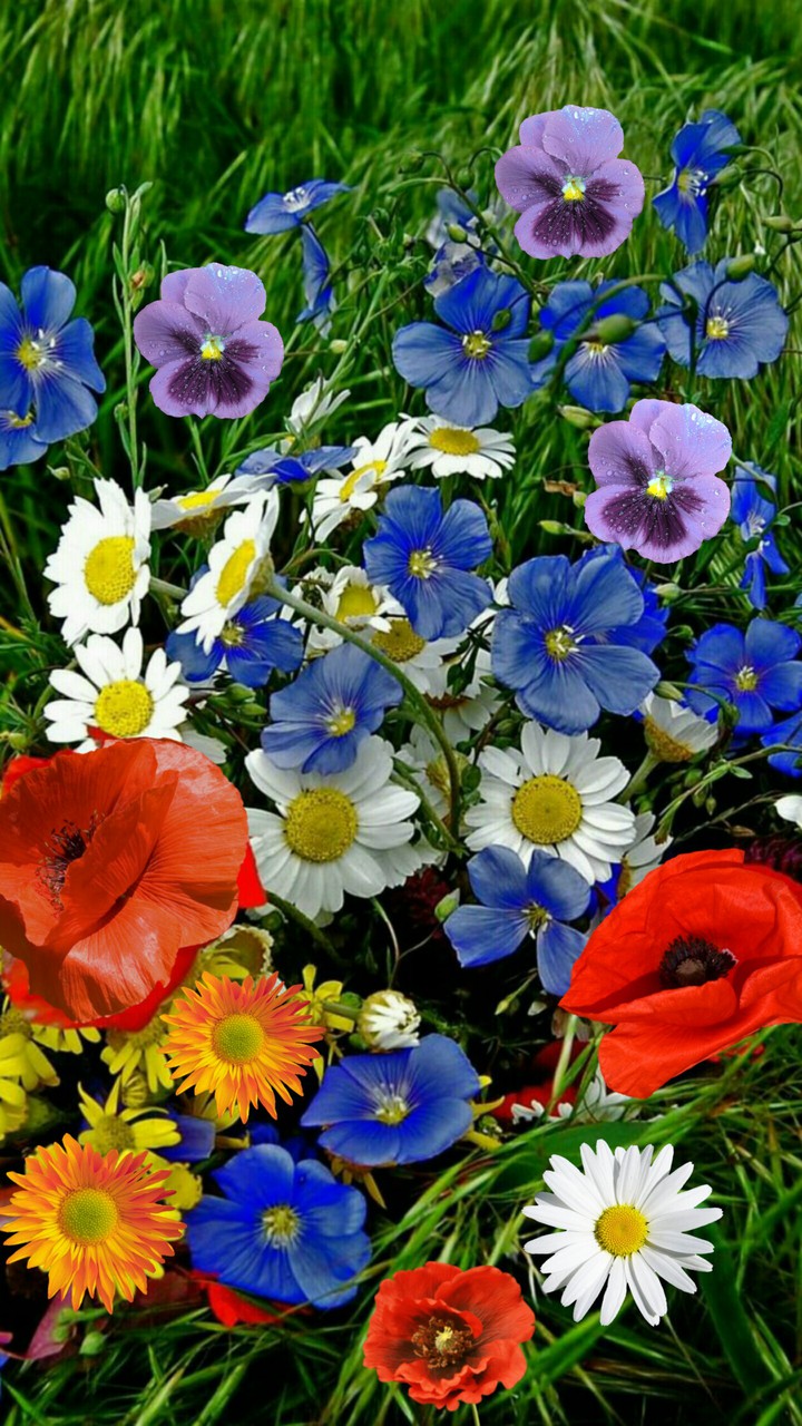Flowers