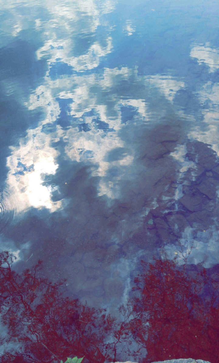 reflection on the water