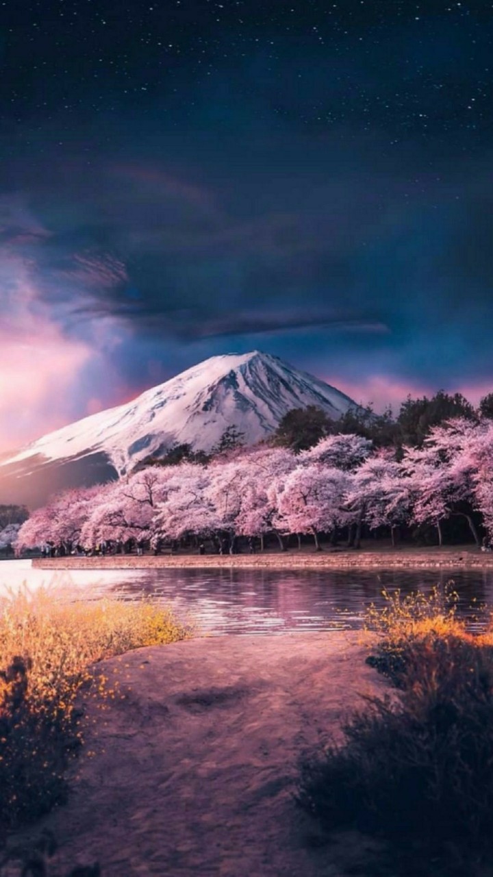 Colorful Mt Fuji