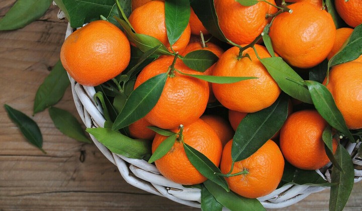 Aroma of Fruits.