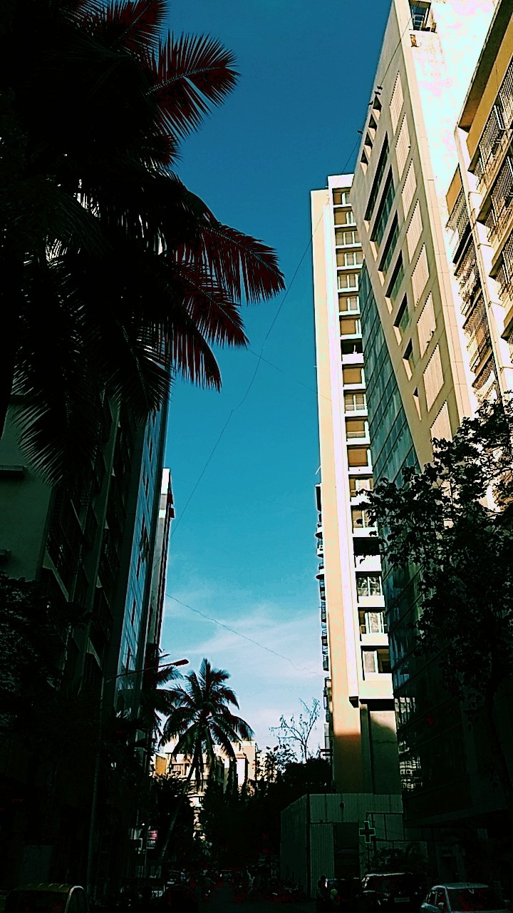 Sunny Evenings!!