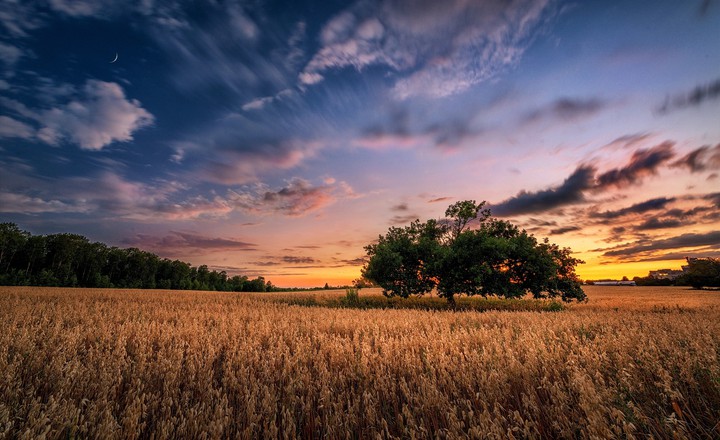 Nature's Beauty