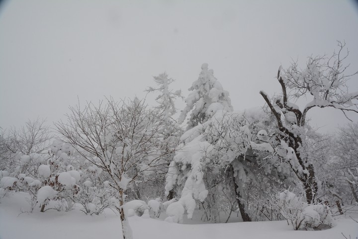 태백산이미지