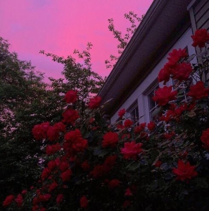 ❤