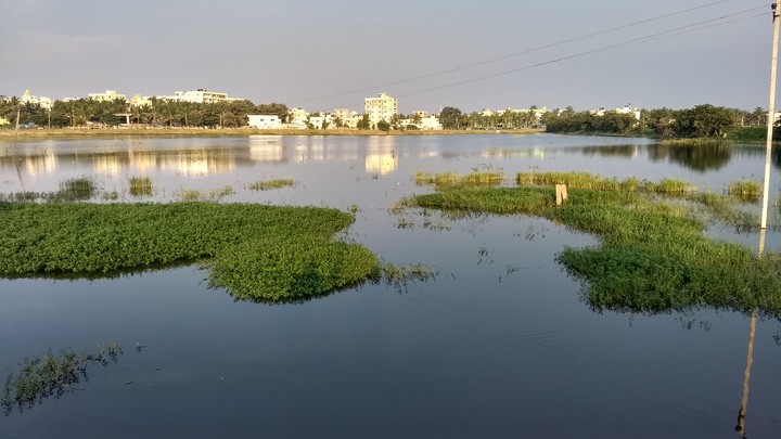 Bangalore ( India)