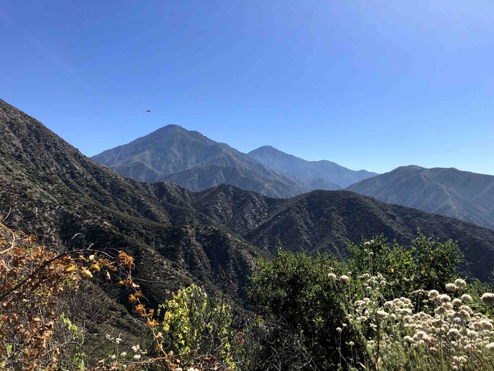 Mt. Baldy