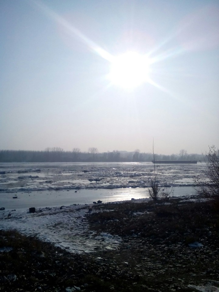 Dunav