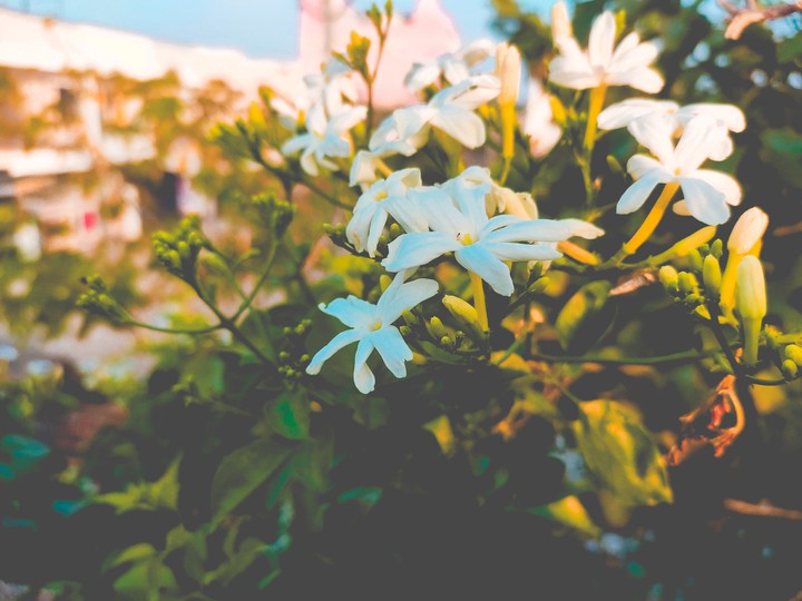Good morning sunshine