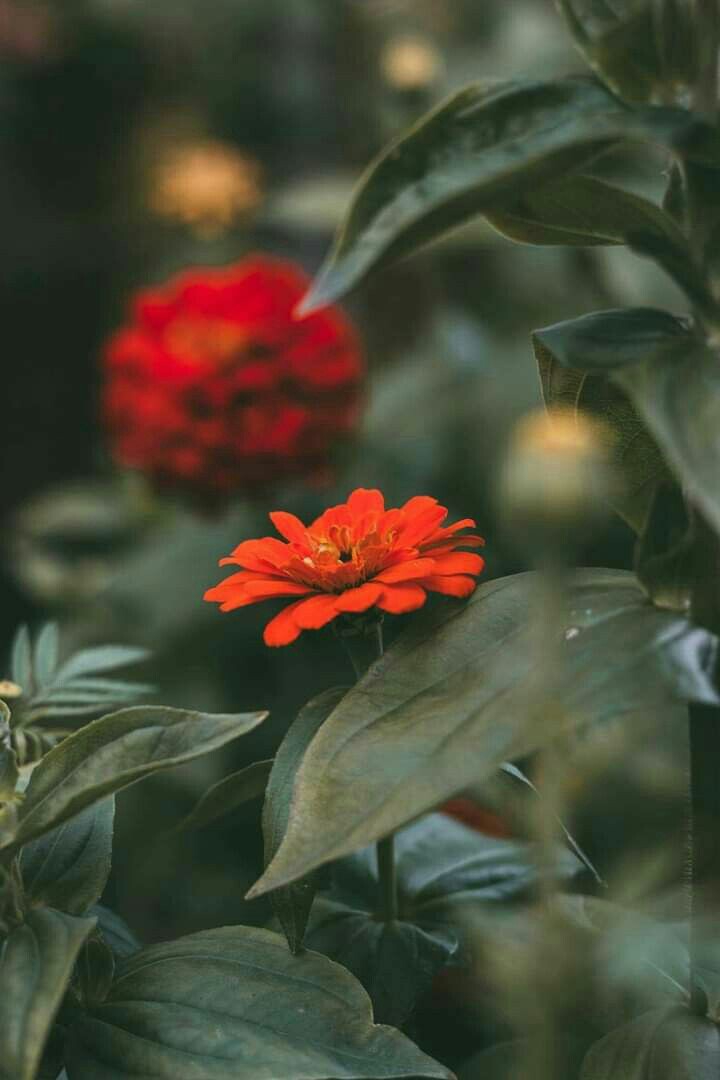 ♥♥