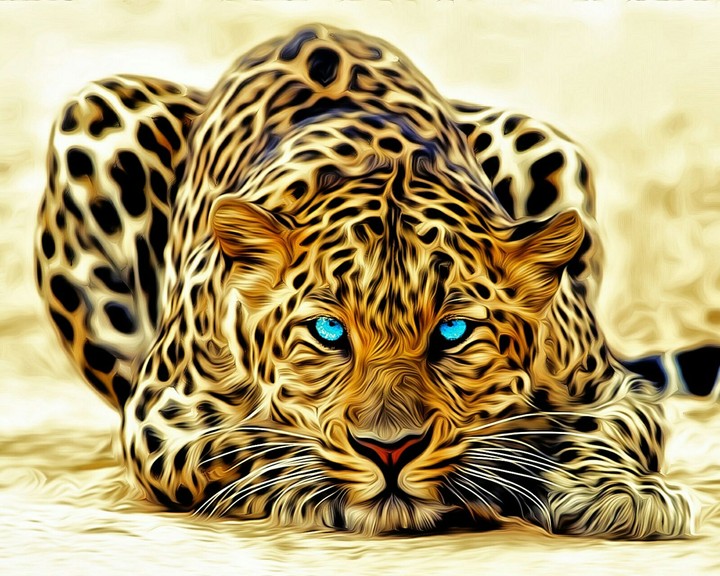 wild cat