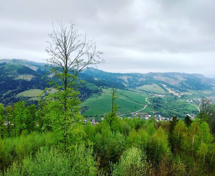 Slovakian nature