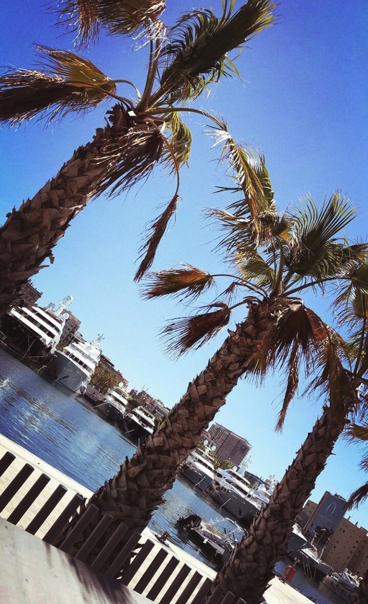 Holiday