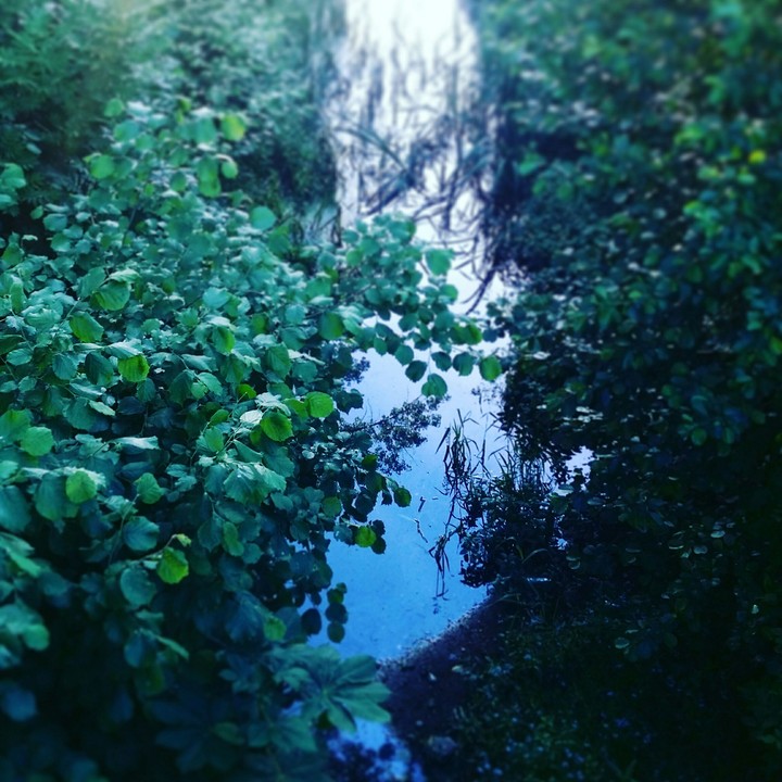 Green River