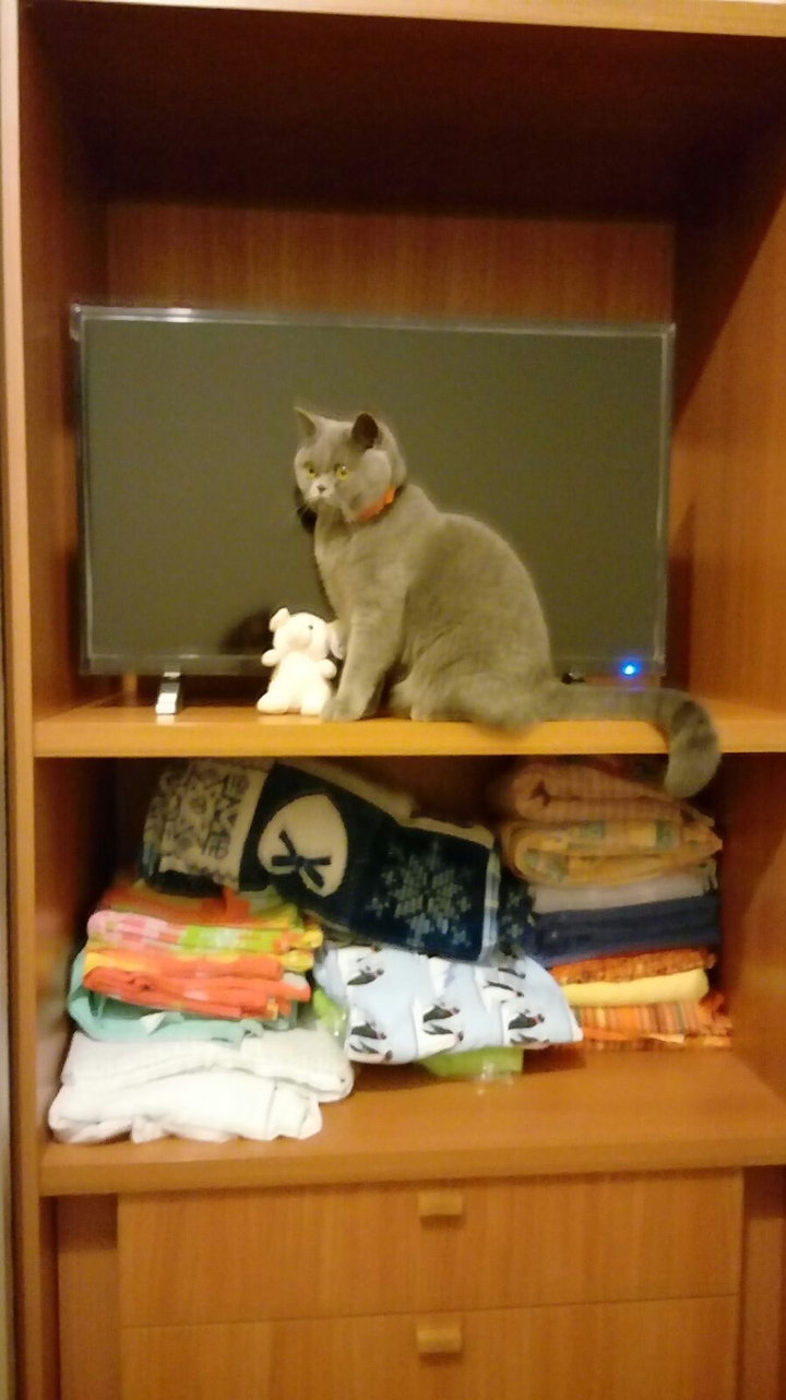 nina in tv