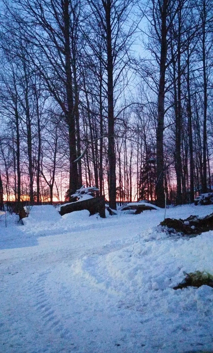 Finnish winter