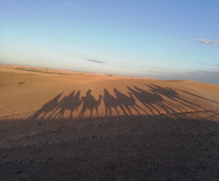 cross the desert