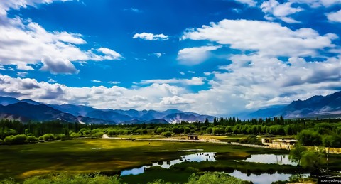 Vast lands of soothing greenery.