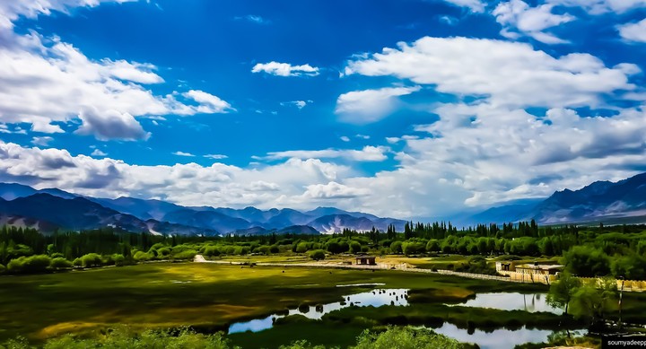 Vast lands of soothing greenery.