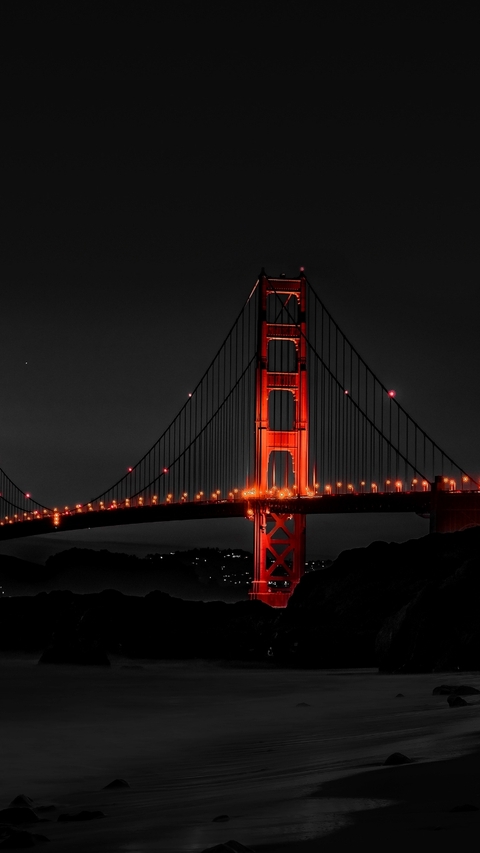 Bridge