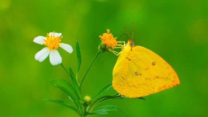 la sutileza de la naturaleza