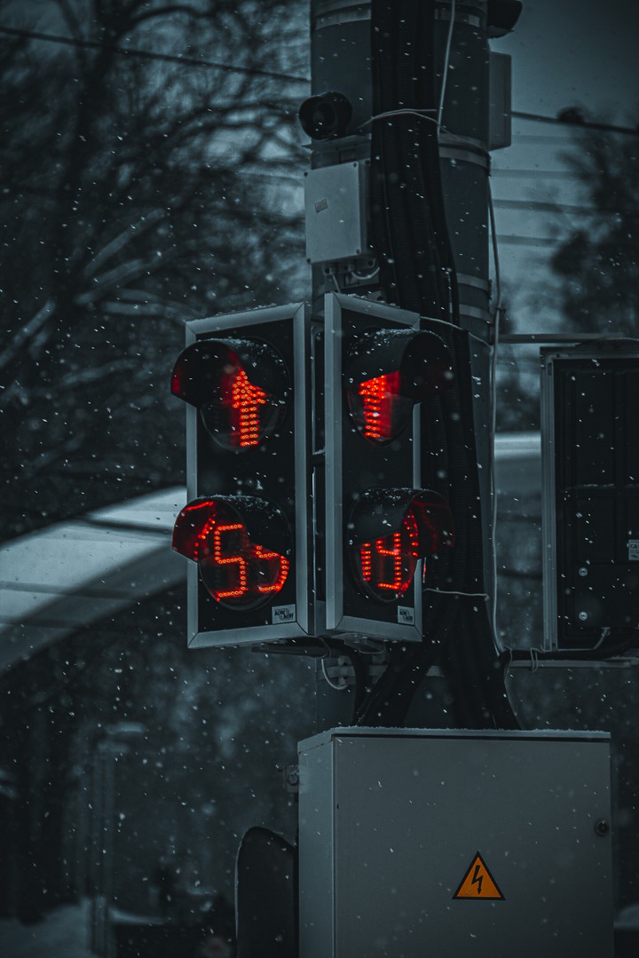 Urban jungle (welcome to my Instagram: L_Smerchynskaya)