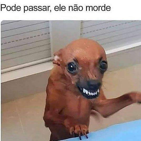 MARI SOUZA
