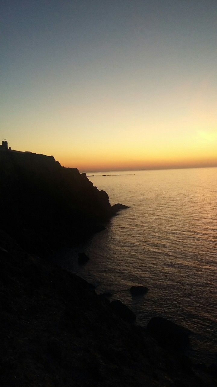 cap falkon