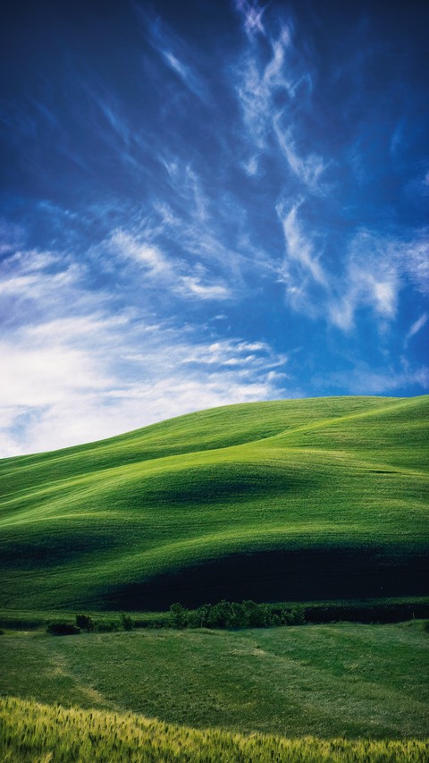 тапети plain, grassland