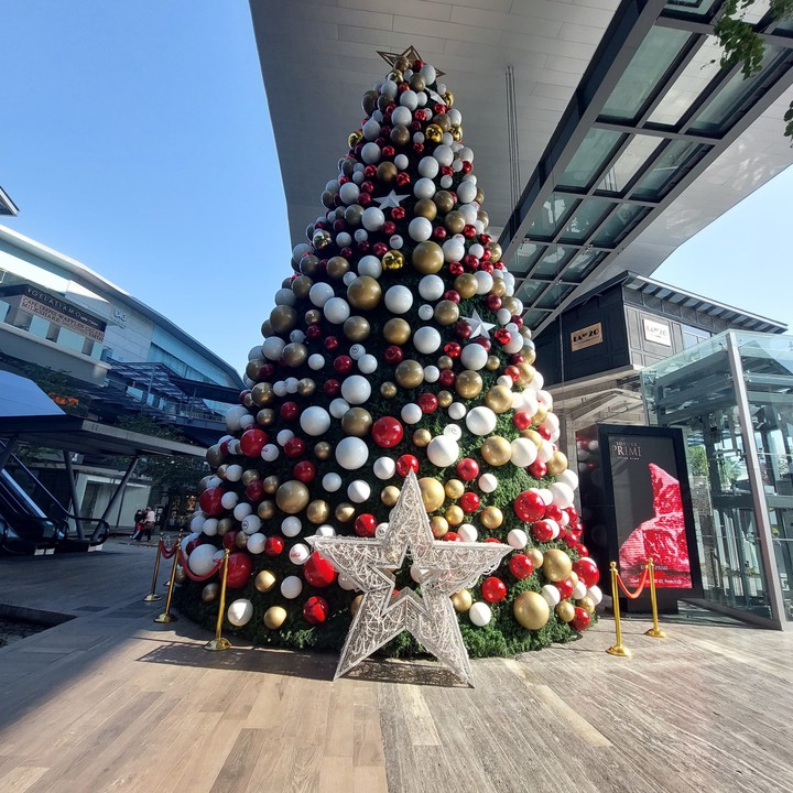 pino de Navidad punto valle. San Pedro Garza García México