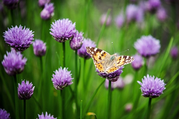 beautiful picture....