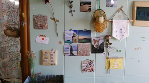 jeju island