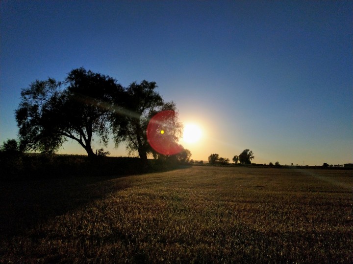 sun