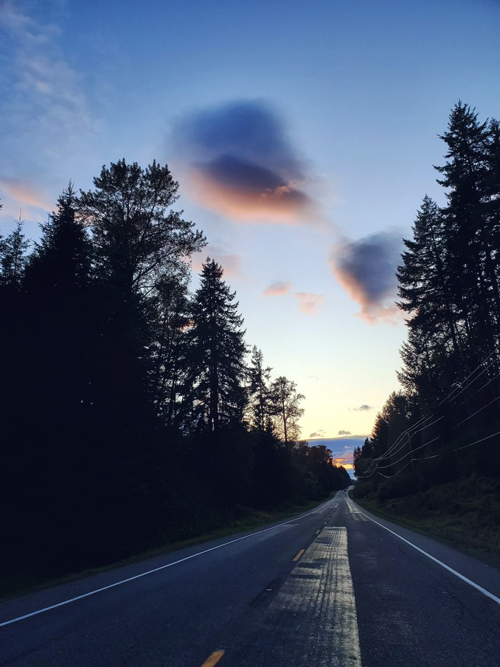 long road home