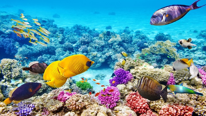 sea underground