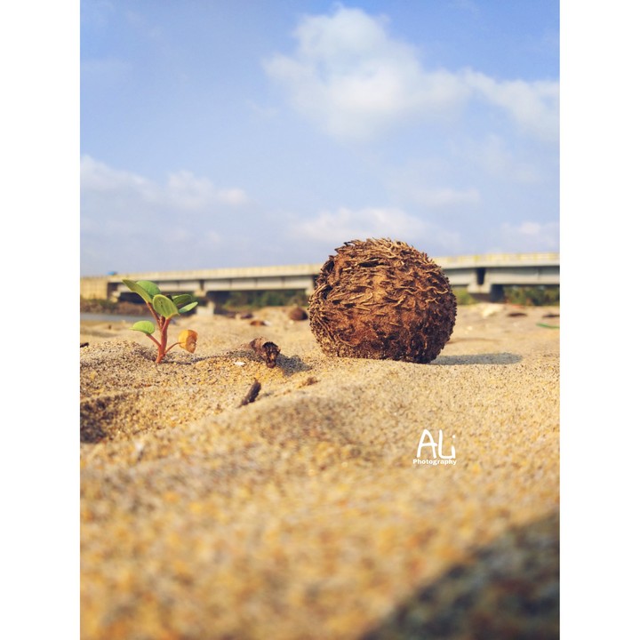 #This_image_clicked_with_samsung_j8