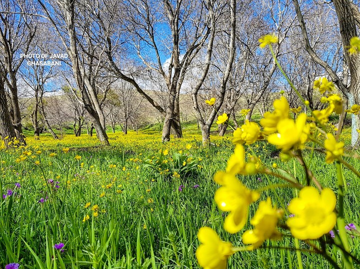 طبیعت زیبای همدان - بهار ۹۸