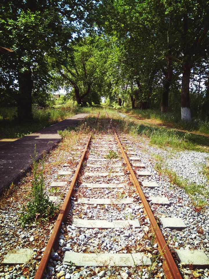 take me home