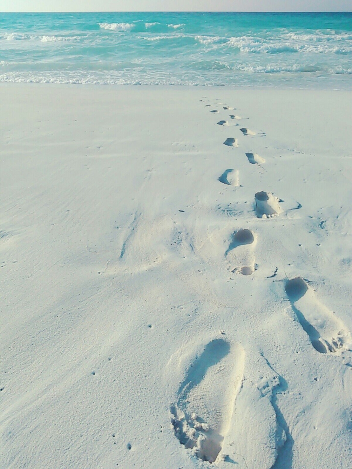 sea