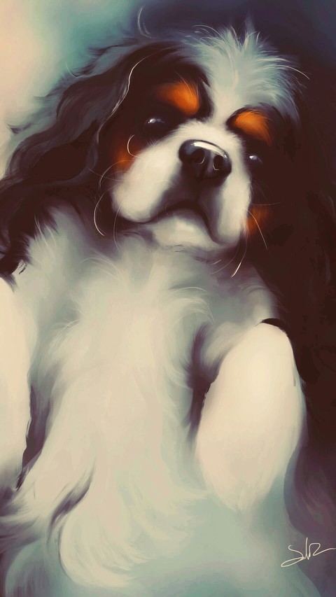 dog/enimals