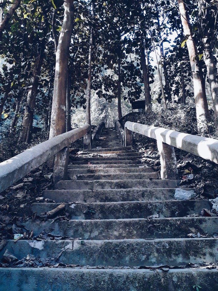 One day while on a walk