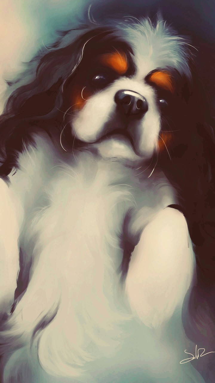 dog/enimals