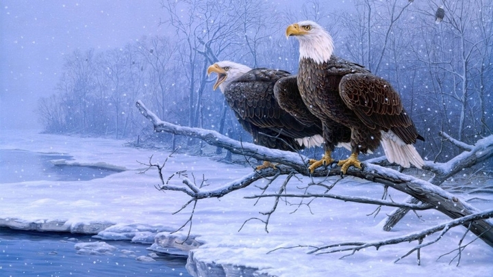 Eagles